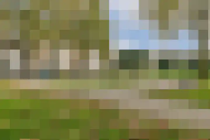 Boeninlaan 330 Amsterdam thumbnail 15