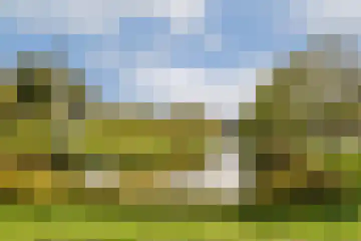 Boeninlaan 330 Amsterdam thumbnail 16