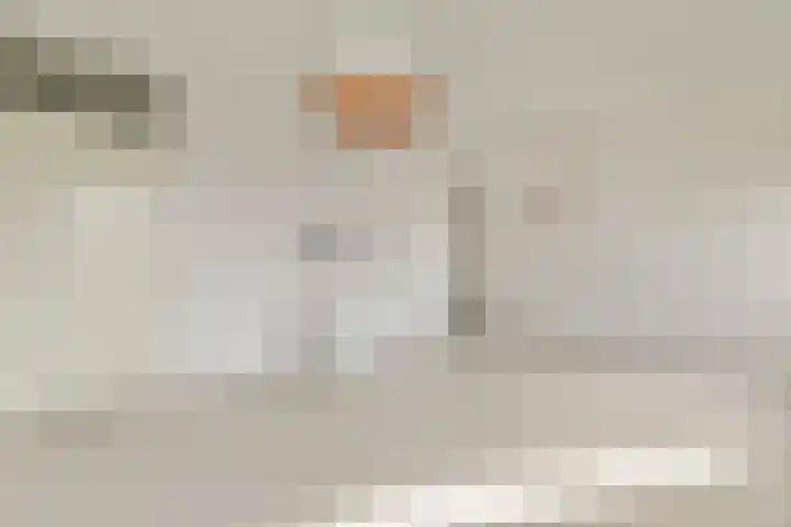 Boeninlaan 330 Amsterdam thumbnail 4