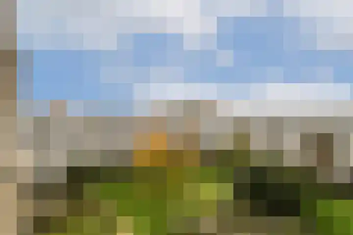 Boeninlaan 330 Amsterdam thumbnail 9
