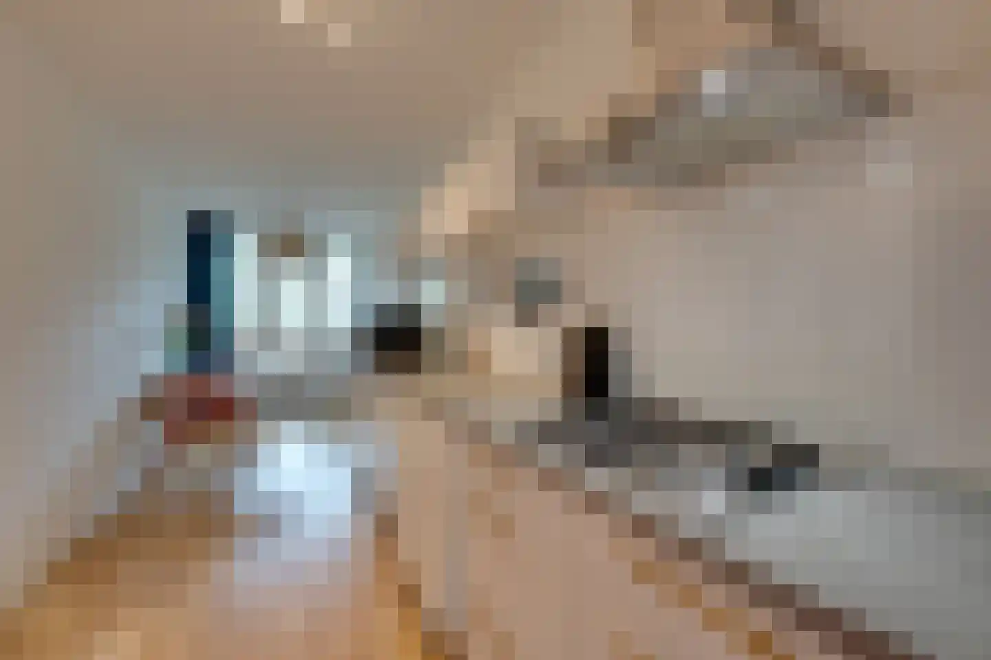 Boeninlaan 342 Amsterdam thumbnail 13