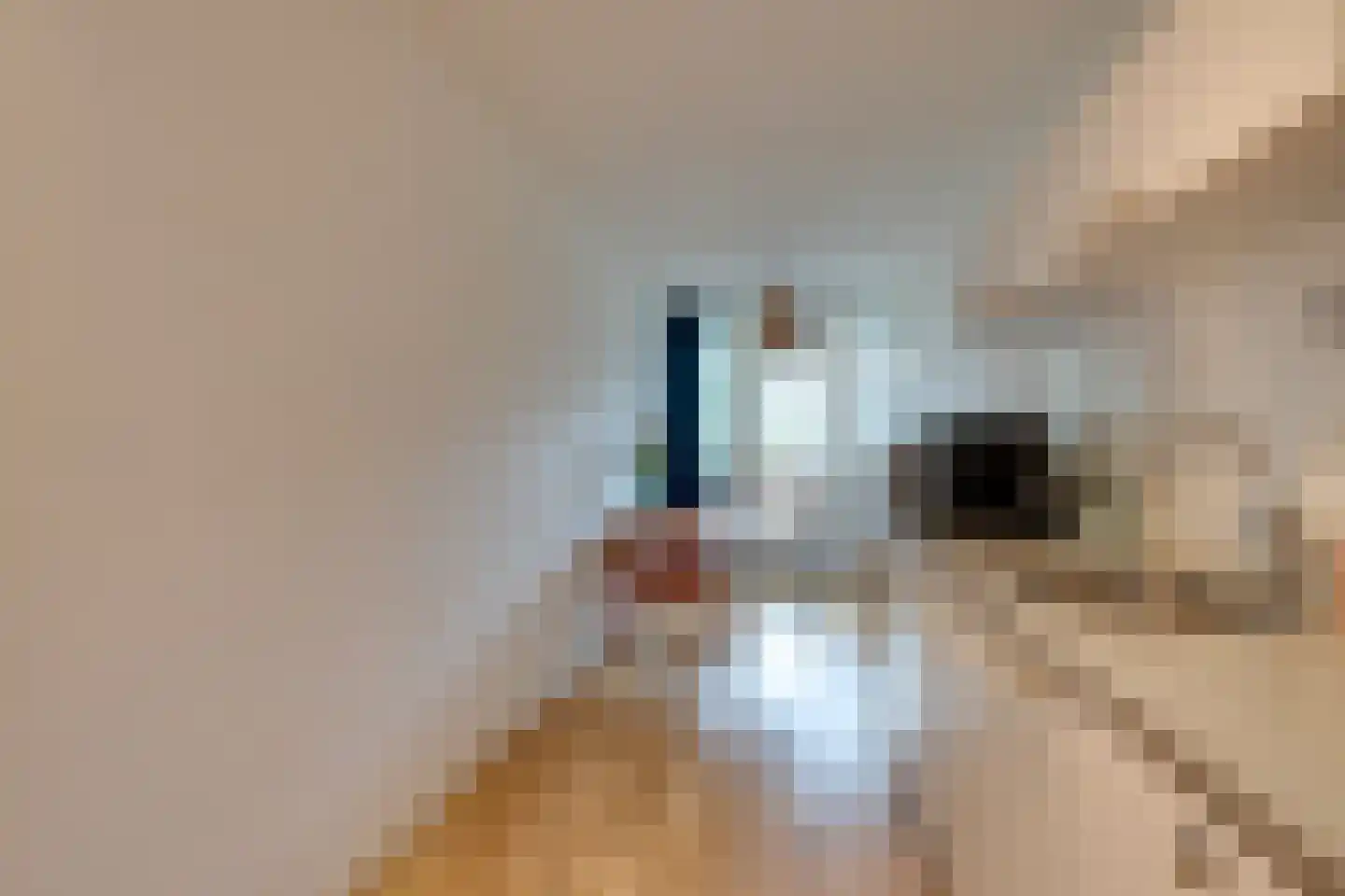 Boeninlaan 342 Amsterdam thumbnail 14
