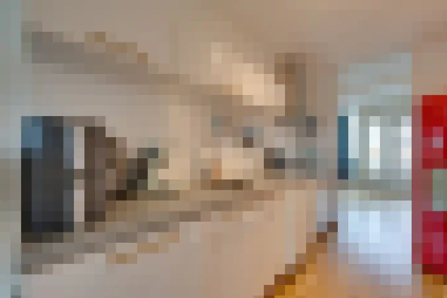 Boeninlaan 342 Amsterdam thumbnail 15