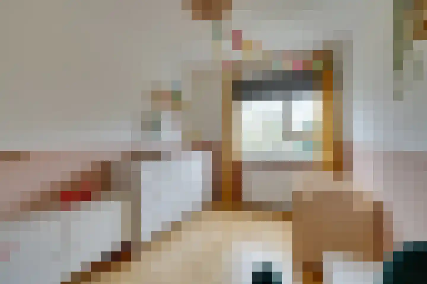 Boeninlaan 342 Amsterdam thumbnail 26