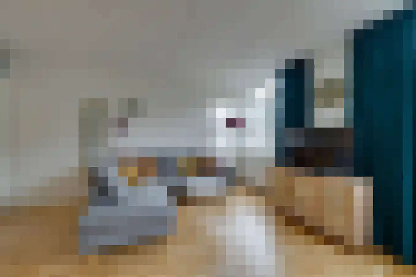 Boeninlaan 342 Amsterdam thumbnail 7