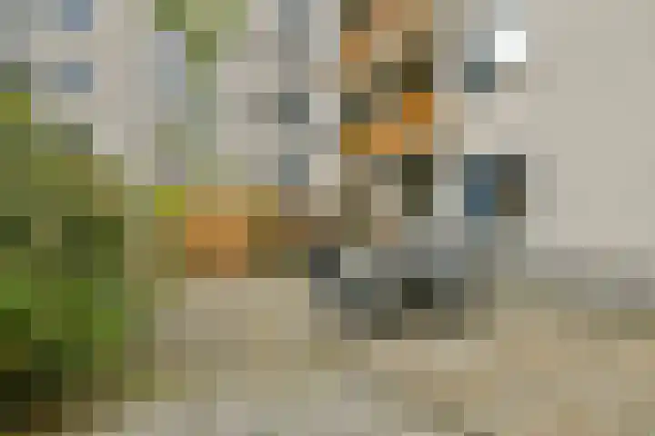 Boeninlaan 377 Amsterdam thumbnail 10