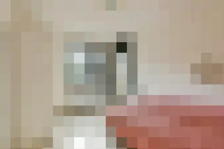 Boeninlaan 377 Amsterdam thumbnail 13