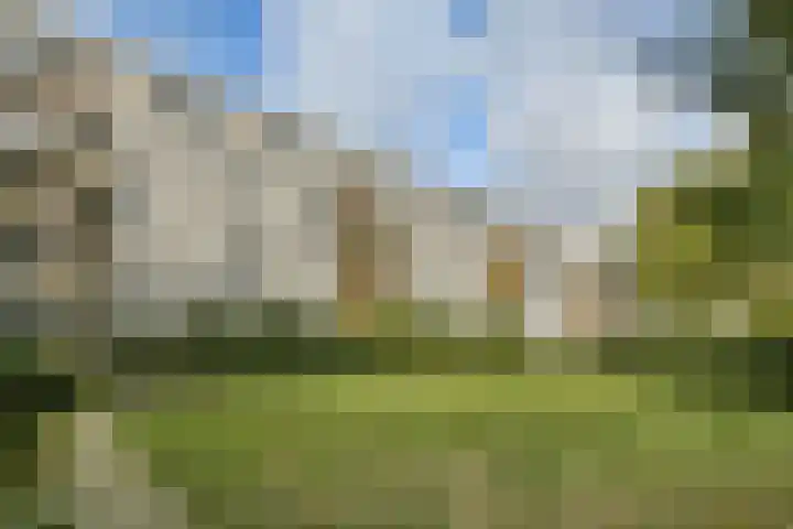 Boeninlaan 377 Amsterdam thumbnail 22