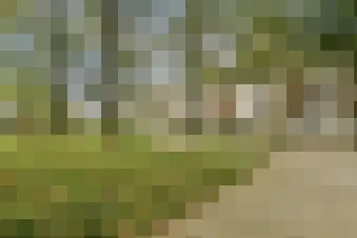Boeninlaan 377 Amsterdam thumbnail 23