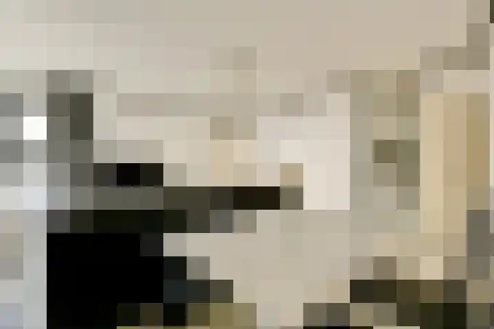 Boeninlaan 377 Amsterdam thumbnail 4
