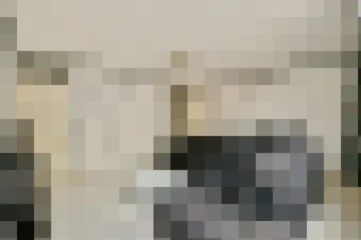 Boeninlaan 377 Amsterdam thumbnail 5