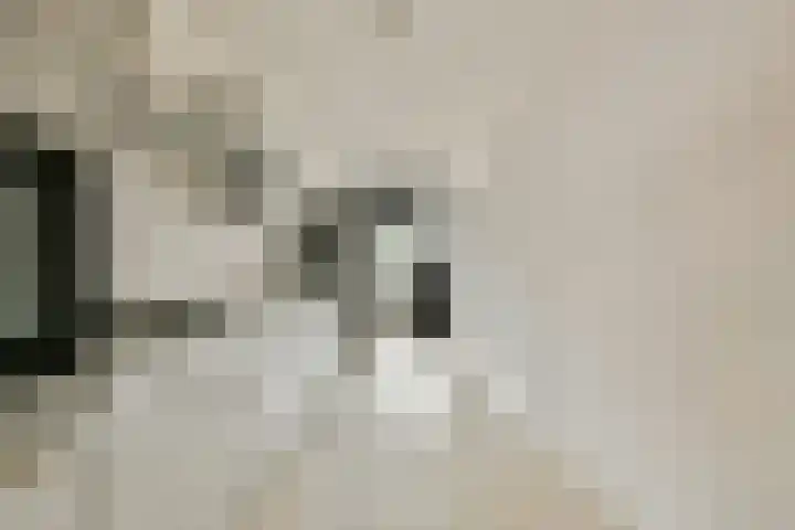 Boeninlaan 377 Amsterdam thumbnail 6
