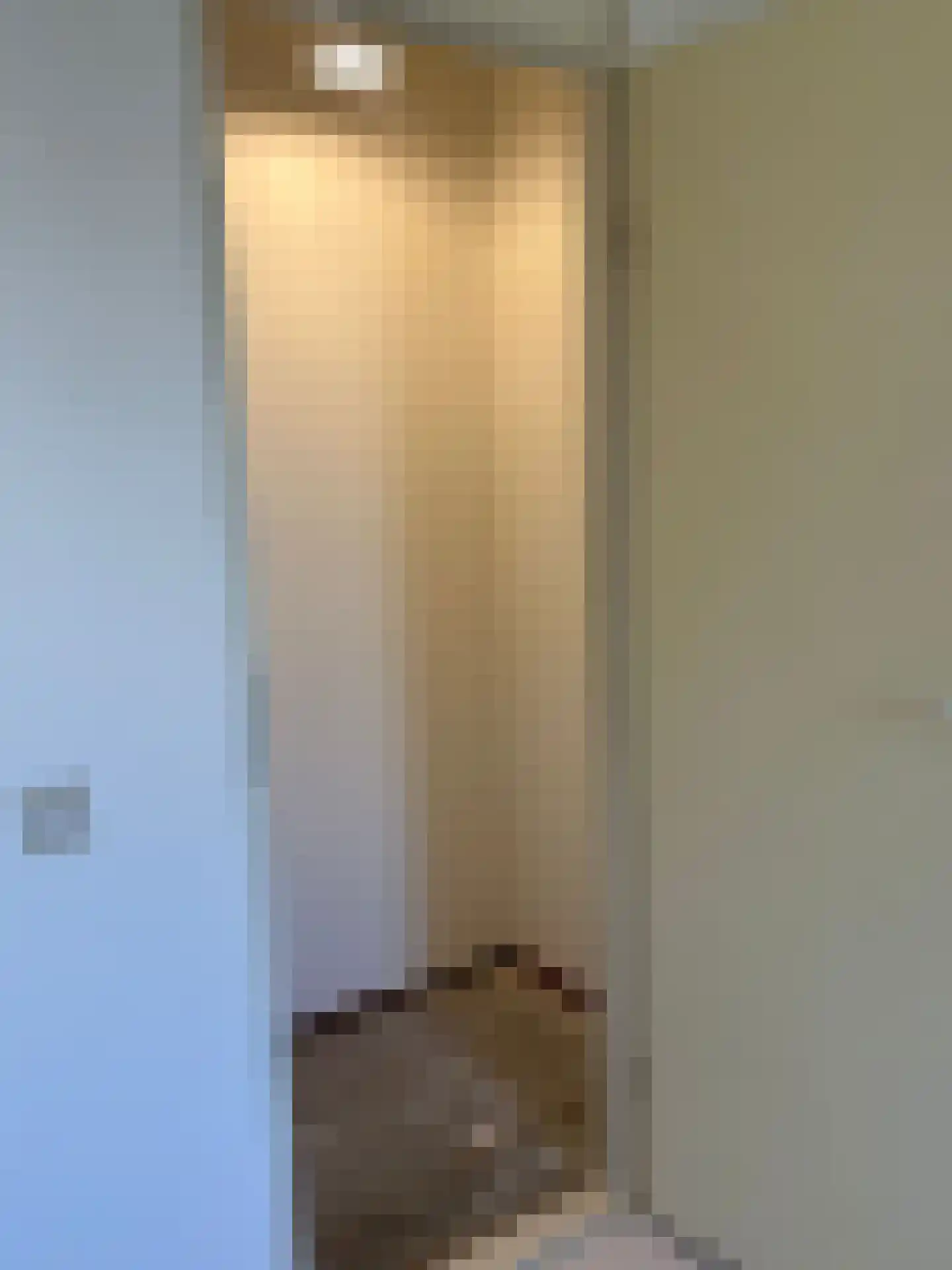 Boeninlaan 389 Amsterdam thumbnail 18