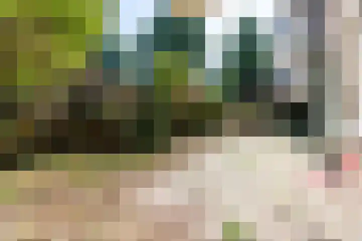 Boeninlaan 61 Amsterdam thumbnail 10