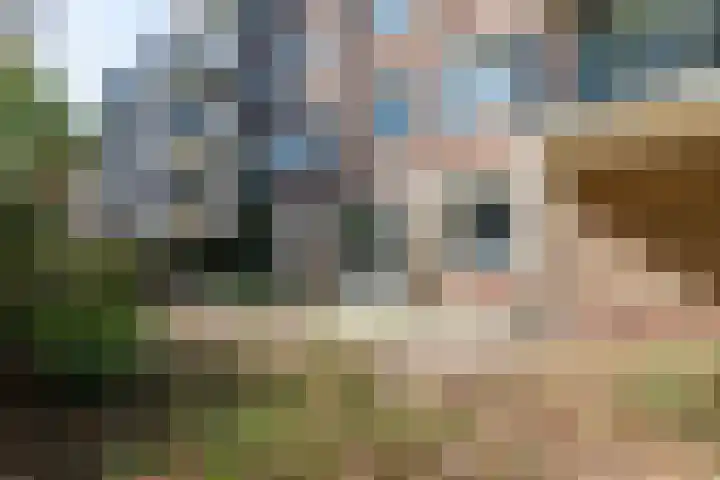 Boeninlaan 61 Amsterdam thumbnail 11
