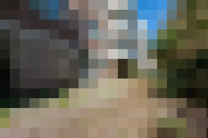 Boeninlaan 61 Amsterdam thumbnail 12