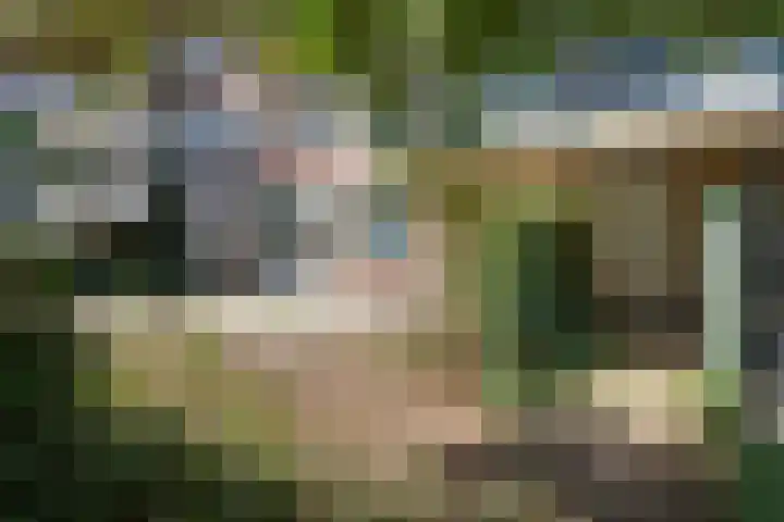 Boeninlaan 61 Amsterdam thumbnail 13