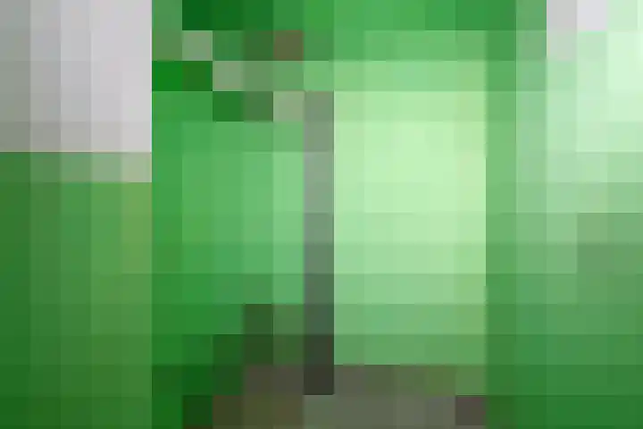 Boeninlaan 61 Amsterdam thumbnail 16