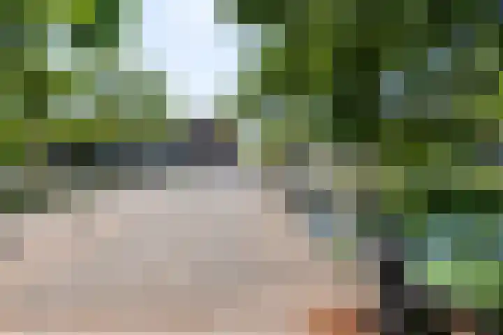 Boeninlaan 61 Amsterdam thumbnail 20