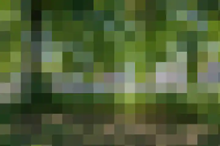 Boeninlaan 61 Amsterdam thumbnail 21