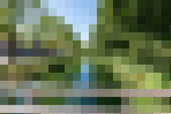 Boeninlaan 61 Amsterdam thumbnail 22