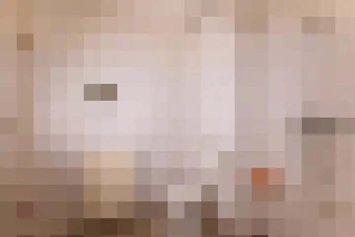 Boeninlaan 61 Amsterdam thumbnail 9