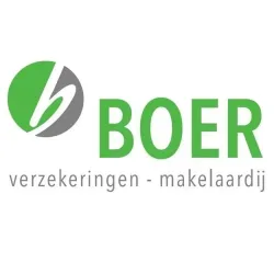 Logo Boer verzekeringen en makelaardij