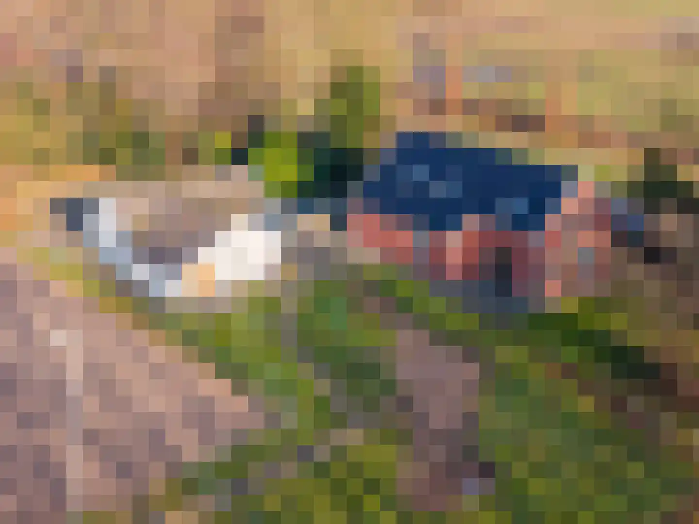Boerakkerweg 8 Niebert