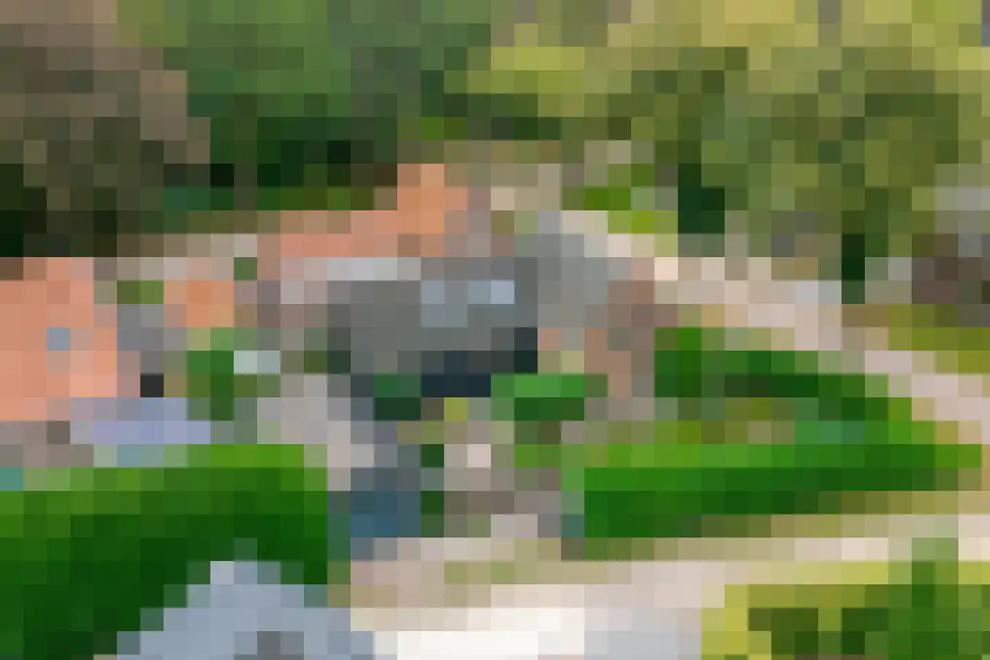 Boerbrink 1 Westerbork thumbnail 4