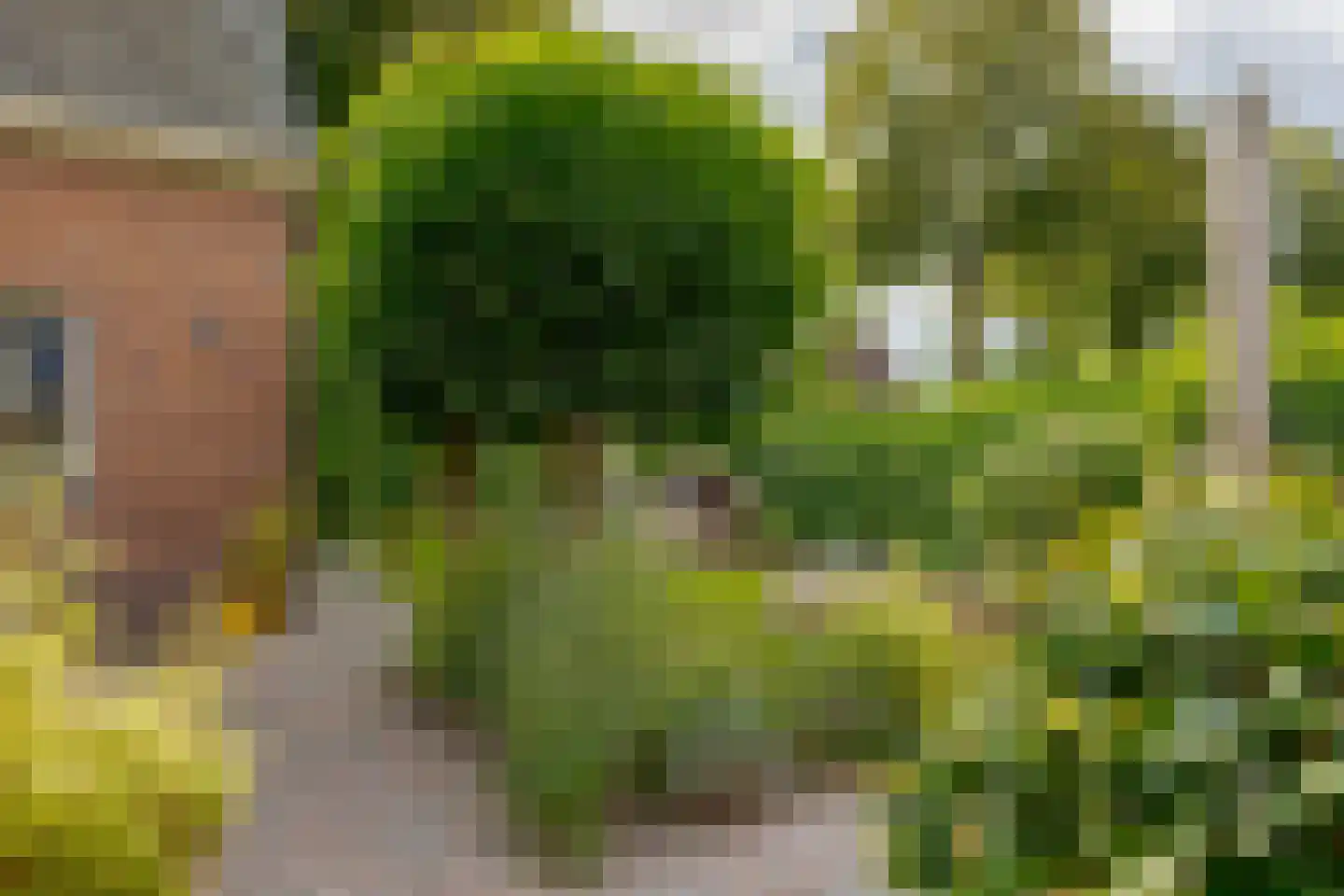 Boerbrink 1 Westerbork thumbnail 48
