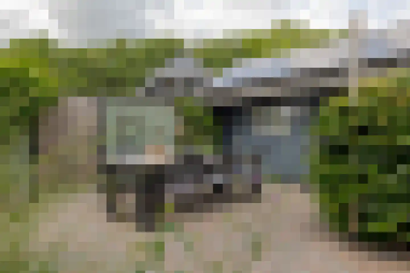 Boerbrink 1 Westerbork thumbnail 49