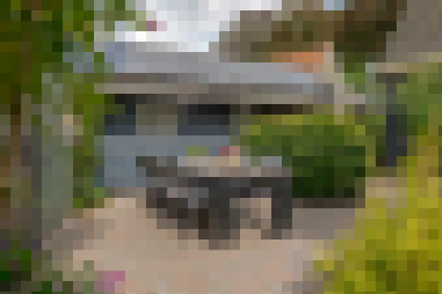 Boerbrink 1 Westerbork thumbnail 50