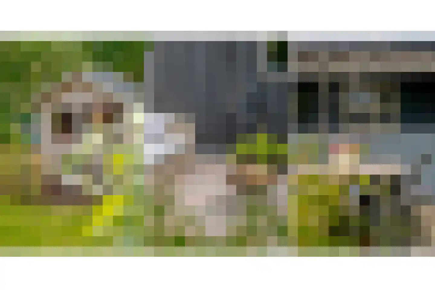Boerbrink 1 Westerbork thumbnail 51