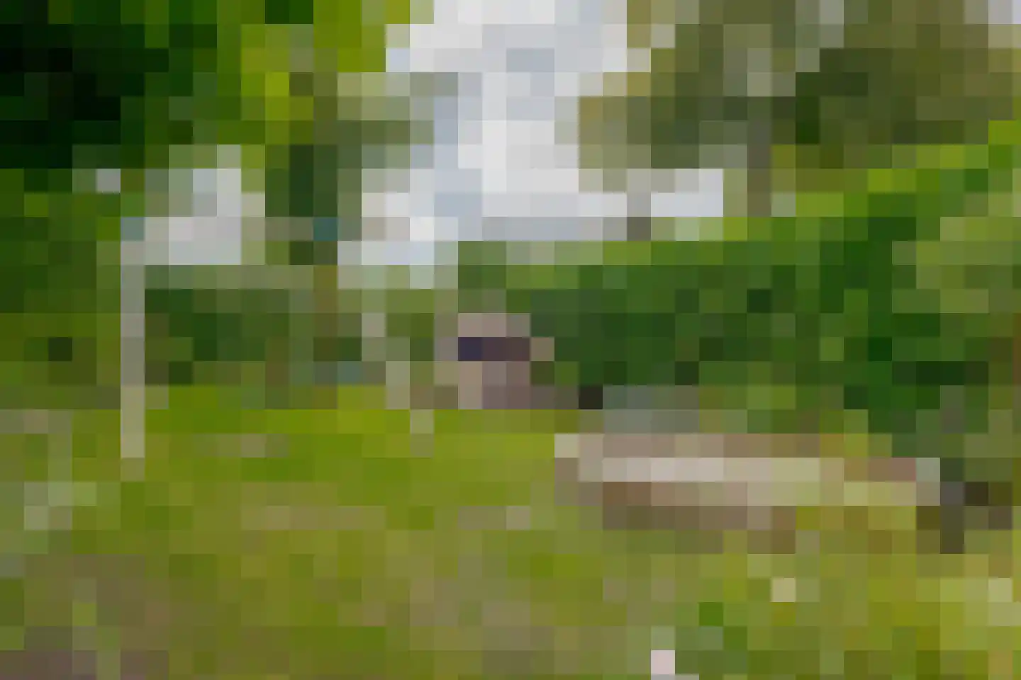 Boerbrink 1 Westerbork thumbnail 52