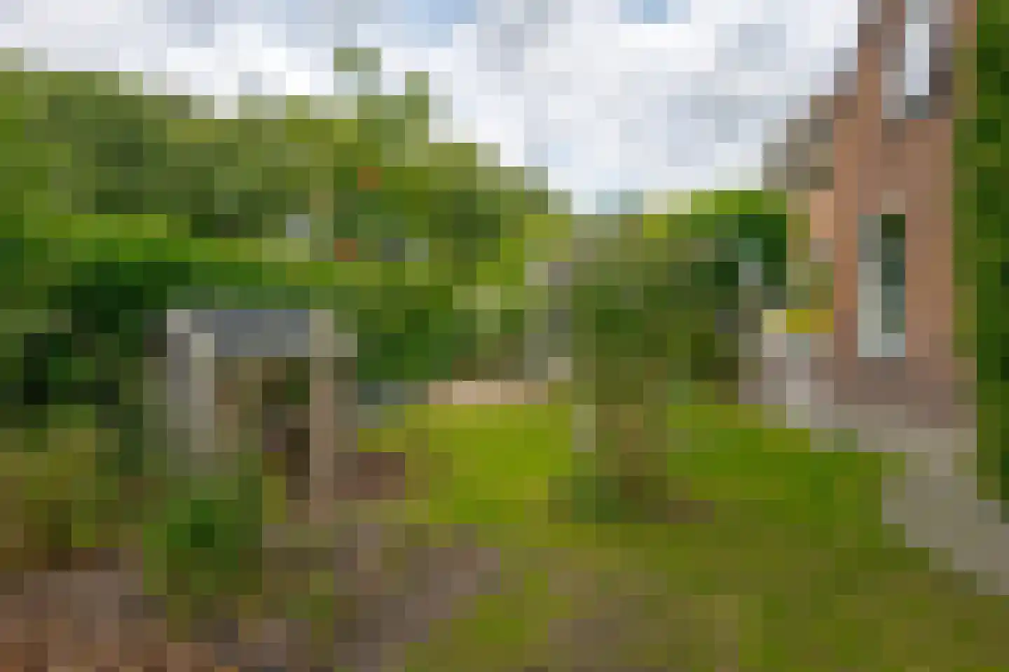 Boerbrink 1 Westerbork thumbnail 55
