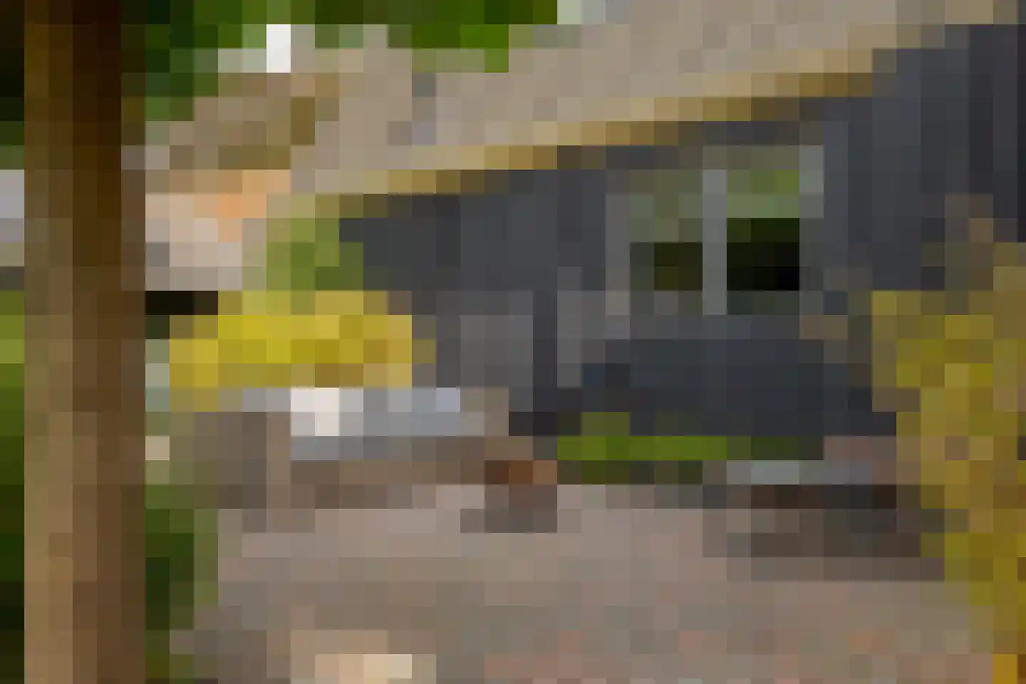 Boerbrink 1 Westerbork thumbnail 58