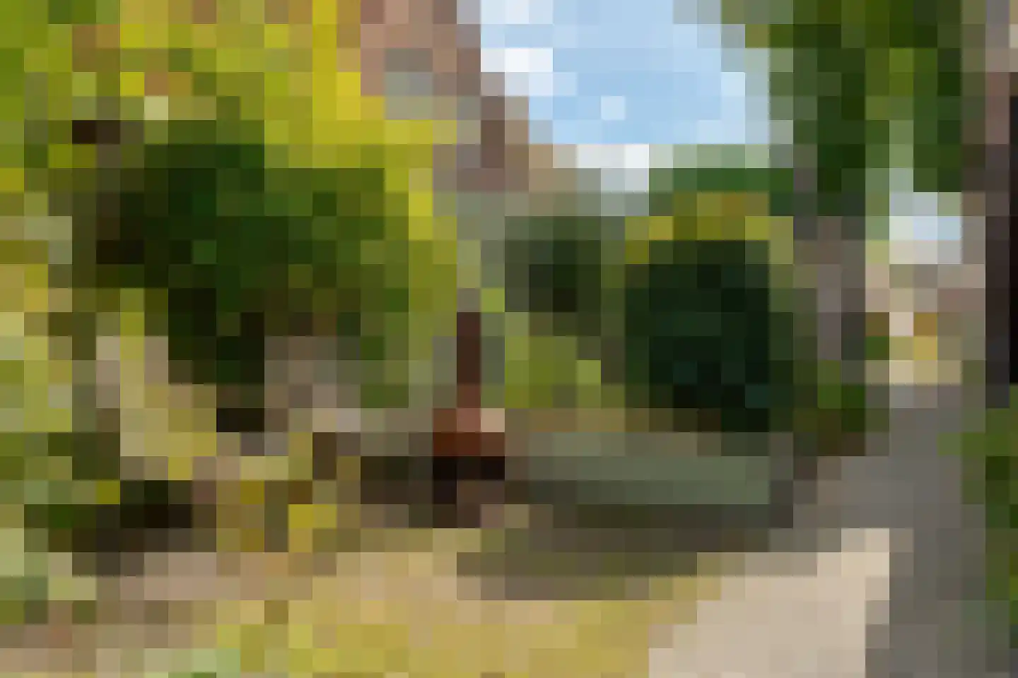 Boerbrink 1 Westerbork thumbnail 61