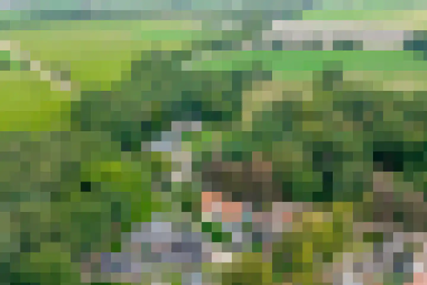 Boerbrink 1 Westerbork thumbnail 64