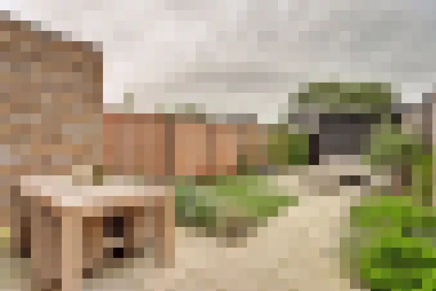 Boerderij 't Hoff 20 Zwijndrecht thumbnail 30