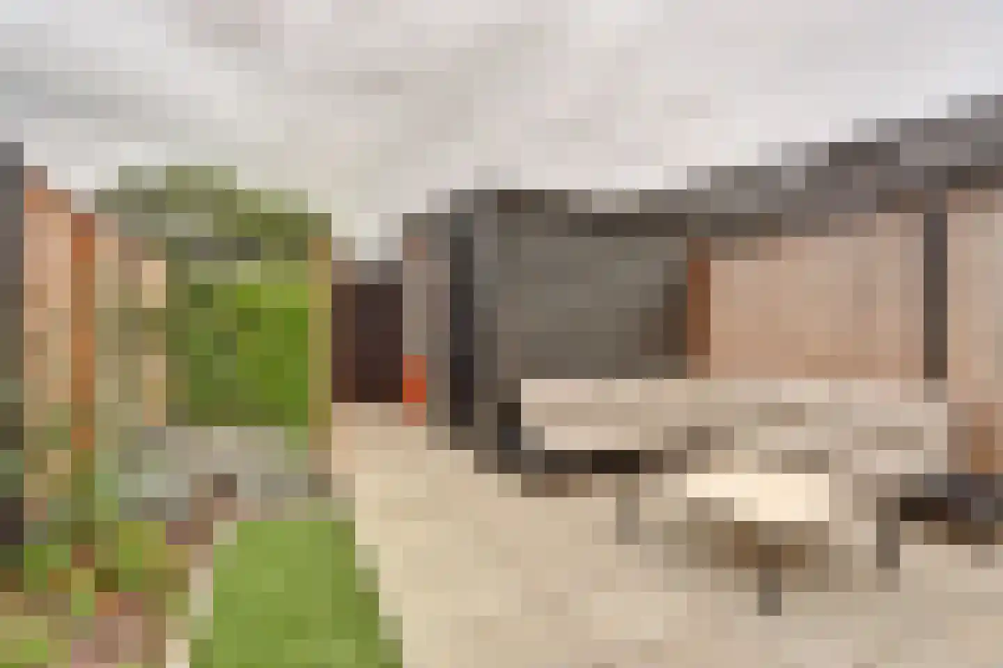 Boerderij 't Hoff 20 Zwijndrecht thumbnail 32