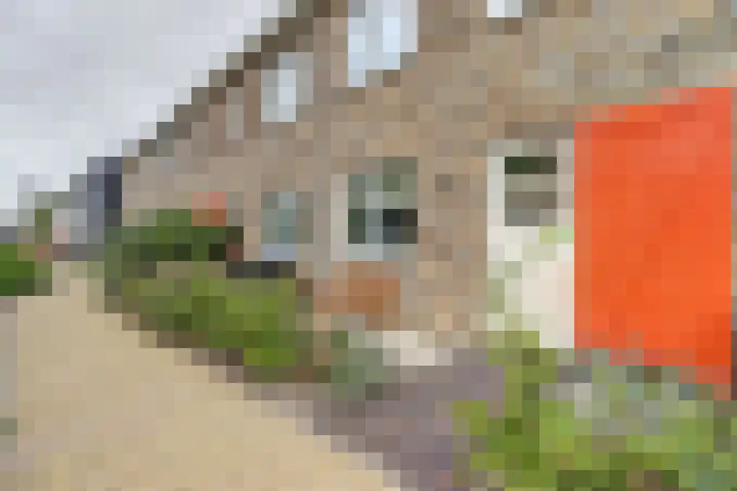 Boerderij 't Hoff 20 Zwijndrecht thumbnail 35