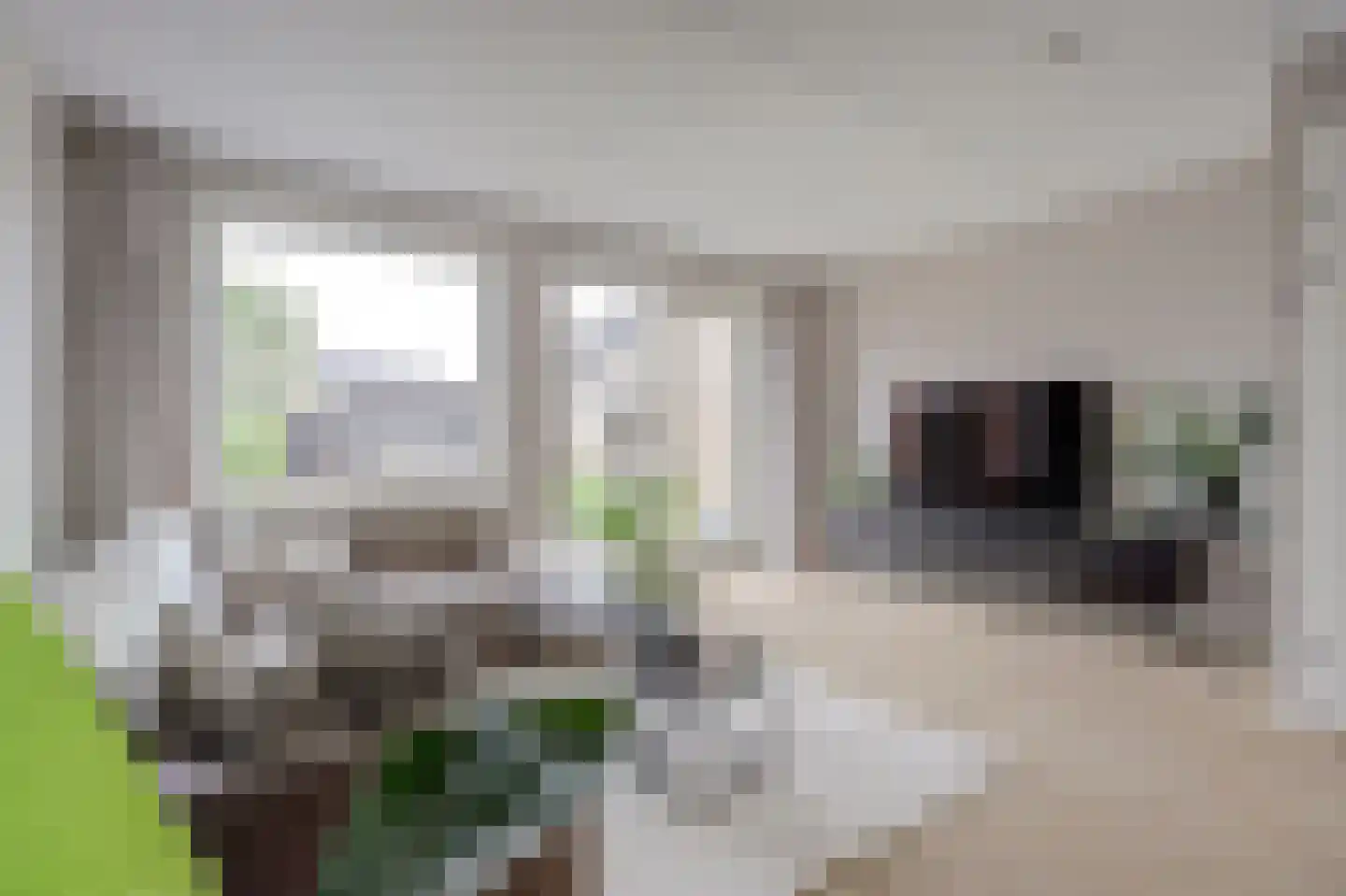 Boerderij 't Hoff 20 Zwijndrecht thumbnail 8