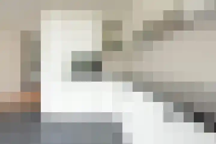Boerderijenboulevard 36 Hooglanderveen thumbnail 17