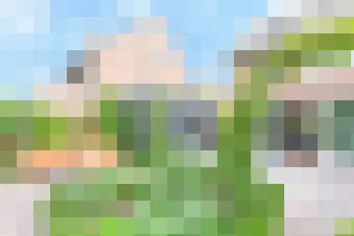 Boerderijenboulevard 36 Hooglanderveen thumbnail 38