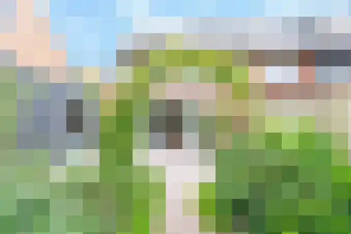 Boerderijenboulevard 36 Hooglanderveen thumbnail 39