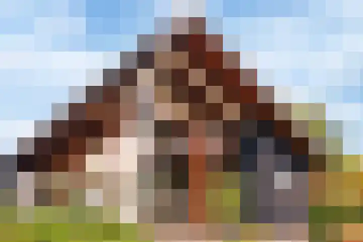 Boerderijenboulevard 36 Hooglanderveen thumbnail 43