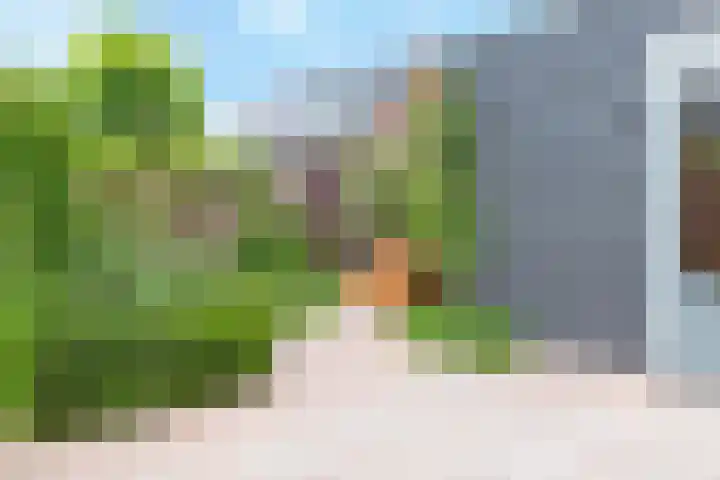 Boerderijenboulevard 36 Hooglanderveen thumbnail 8
