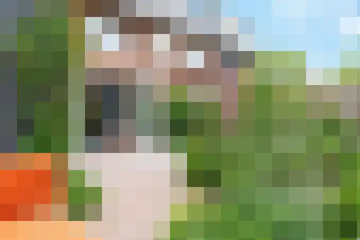 Boerderijenboulevard 36 Hooglanderveen thumbnail 9