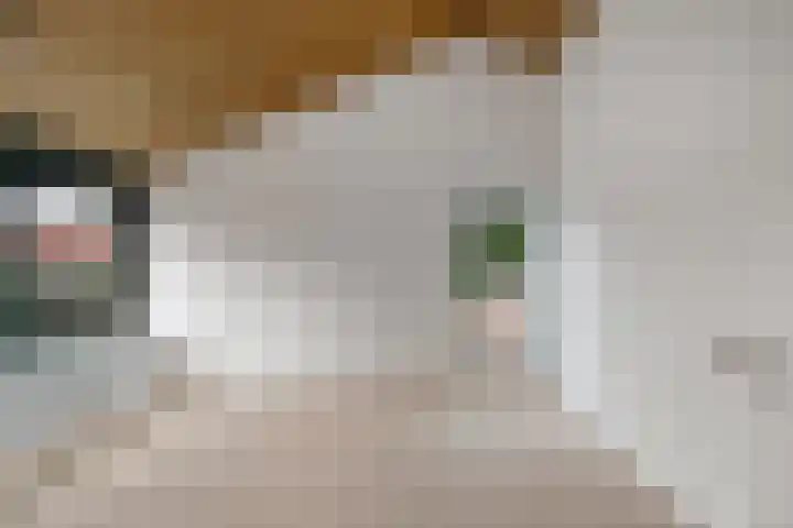 Boerderijlaan 1 Moordrecht thumbnail 16