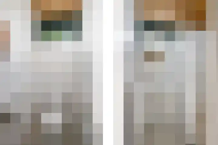 Boerderijlaan 1 Moordrecht thumbnail 23